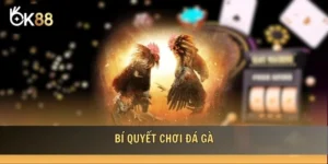 Bí quyết chơi đá gà