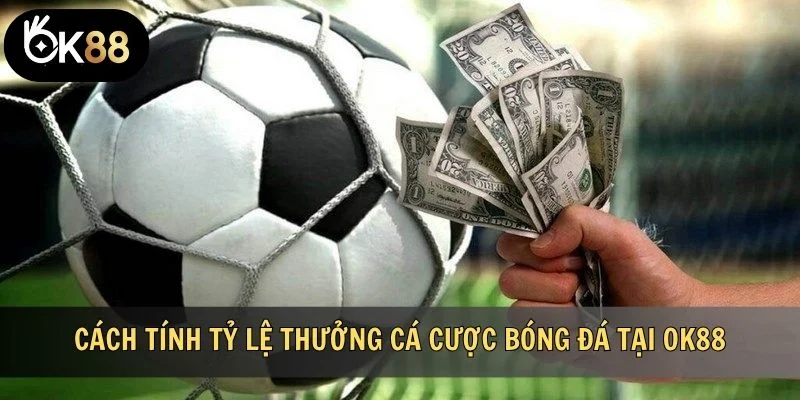 Cách tính tỷ lệ thưởng cá cược bóng đá tại OK88