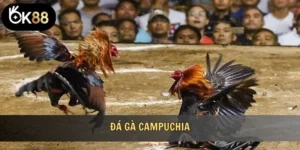 Đá gà campuchia