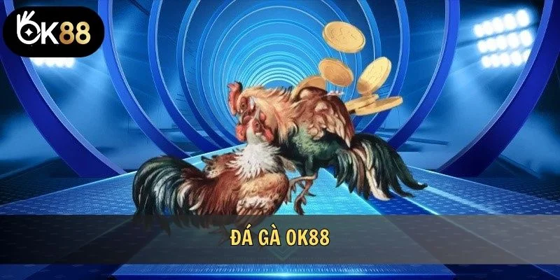 Đá gà OK88