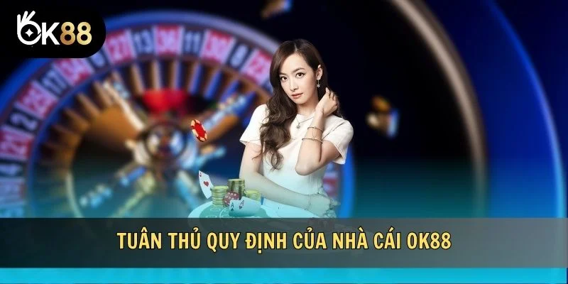 Đăng ký nhanh chóng khi tuân thủ quy định của nhà cái OK88