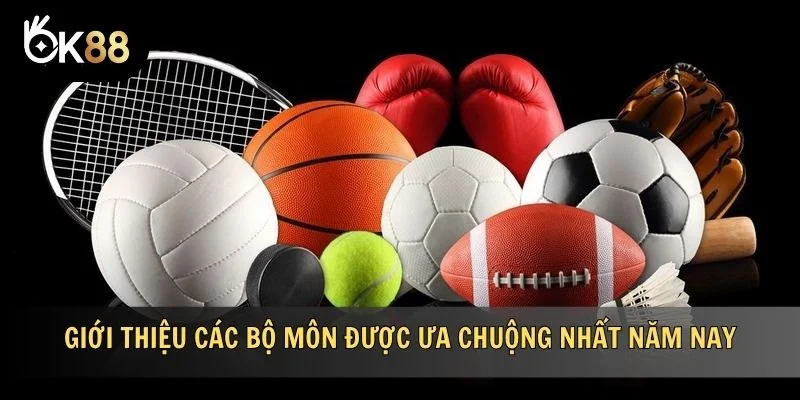 Giới thiệu các bộ môn được ưa chuộng nhất năm nay