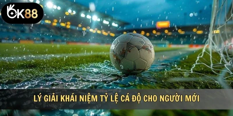 Lý giải khái niệm tỷ lệ cá độ cho người mới