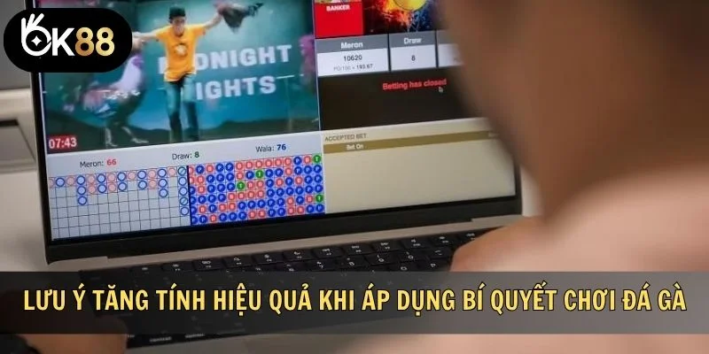 Một vài lưu ý tăng tính hiệu quả khi áp dụng bí quyết chơi đá gà