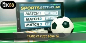 Trang cá cược bóng đá