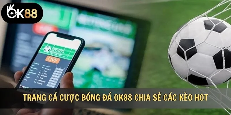 Trang cá cược bóng đá OK88 chia sẻ các kèo hot